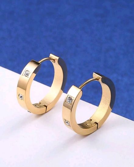 Picture of Stainless Steel Hoop Earrings