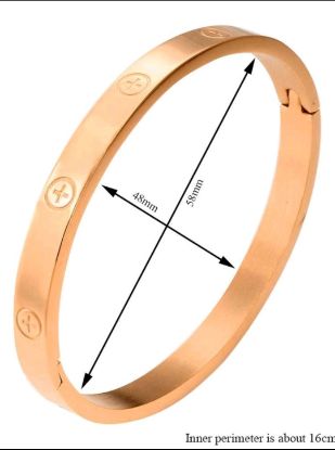 Picture of Rose Gold Stainless Steel Bracelet 